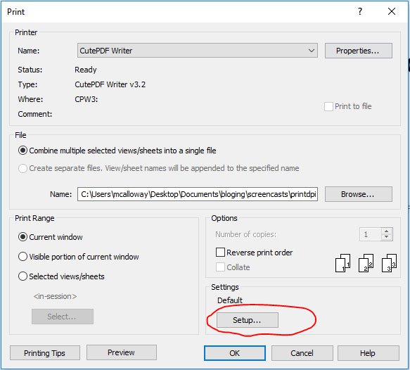 Print Options Screen in Revit