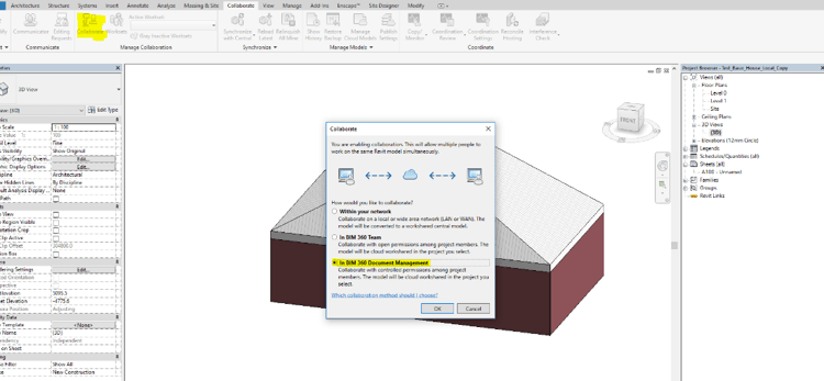 Revit Work Sharing Model BIM 360